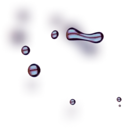 Immediate Lforce - Achieve Maximum Profit with Gas Potential Seize Control of Your Trades Now